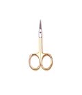 Cuticle Scissors